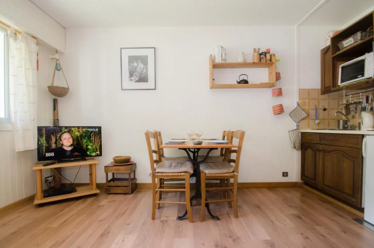 Residence Clos Du Savoy Chamonix Apartment